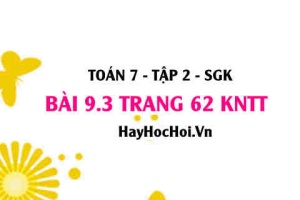 Bài 9.3 trang 62 Toán 7 Tập 2 Kết nối tri thức: Xác định cạnh lớn nhất trong tam giác cân